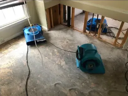 Blue air movers running along lower wall cavities that were opened to dry
