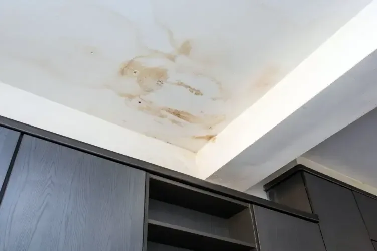 Brown water stain spreading over a kitchen ceiling from a leak upstairs
